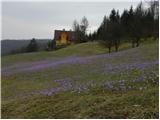 Polhov Gradec - Visoki hrib